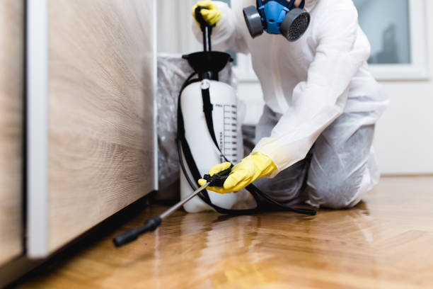 Best Pest Control Near Me in Citrus Hills, FL