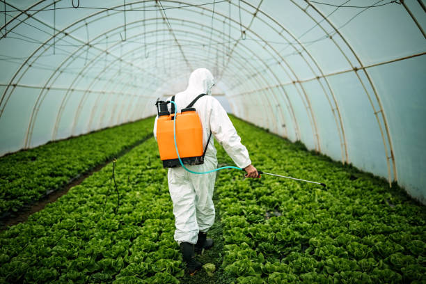 Best Emergency Pest Control  in Citrus Hills, FL