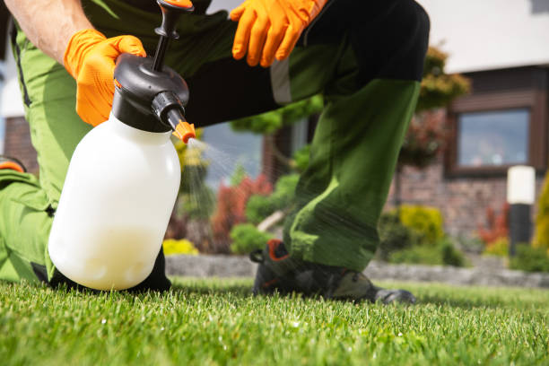 Best Local Pest Control Services  in Citrus Hills, FL